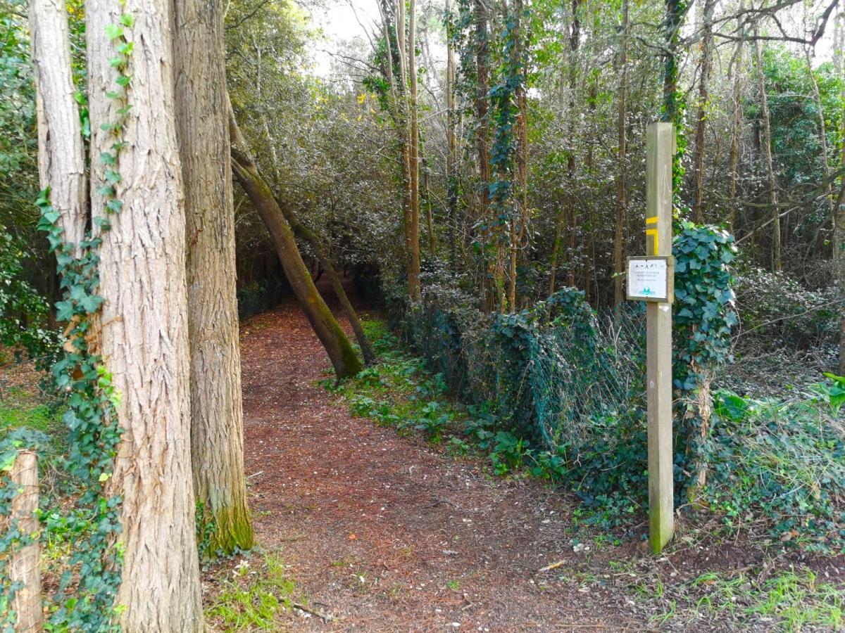 Le Pierani - A 90M De La Mer Saint-Hilaire-de-Talmont エクステリア 写真