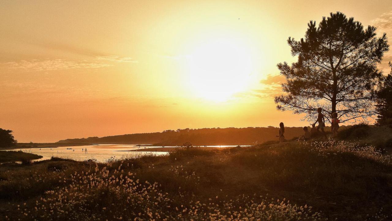 Le Pierani - A 90M De La Mer Saint-Hilaire-de-Talmont エクステリア 写真